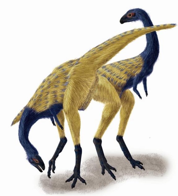 Loài khủng long 3 ngón được xem là loài có những biểu hiện tiến hóa. Đó là sự xuất hiện thêm chi ở phần cánh, giúp loài này dễ dàng khi chuyển từ tư thế nằm sang đứng thẳng.