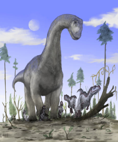 Đây là loài khủng long Camarasaurus, sống vào khoảng thời gian 100 triệu năm trước đây.