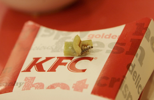 Hà Nội: Ăn KFC được ’khuyến mại’... sâu