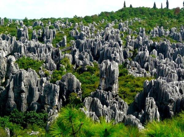 Thăm khu rừng đá khổng lồ được mệnh danh kỳ quan 1