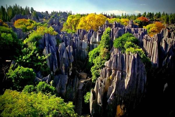 Thăm khu rừng đá khổng lồ được mệnh danh kỳ quan 8