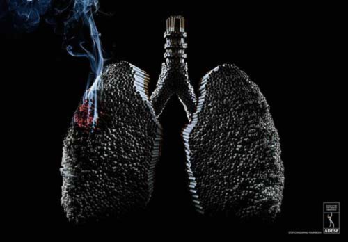 Hình ảnh về sự tàn phá khủng khiếp của thuốc lá 
