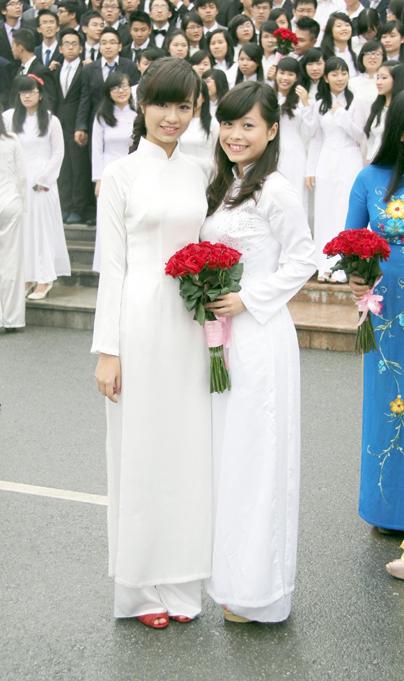 linh 3