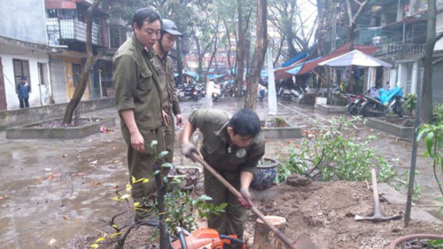 Công nhân Công ty công viên cây xanh Hà Nội thu dọn hiện
