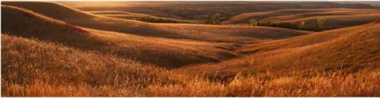 Đồi cỏ ở khu bảo tồn Konza Prairie nhuộm vàng trong ánh hoàng hôn trải dài tới tận chân trời.