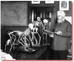 Sự thật về Thuyết tiến hóa: Những hình vẽ phôi thai giả của Haeckel, lời nói dối xuyên thế kỷ (phần 1)