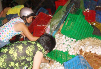 Tranh nhau nhặt trứng khi ôtô tải gặp nạn