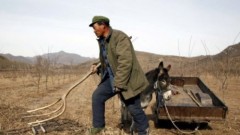 Vấn đề tịch thu đất đai tại Trung Quốc