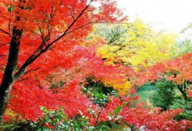9 địa điểm ngắm mùa thu đẹp ở Trung Quốc