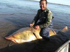 Bắt được quái ngư dài 3 mét trên sông Hắc Long Giang