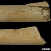 Phát hiện công cụ đồ đá từ 3,5 triệu năm trước