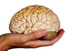 Phát hiện vùng vỏ não kiểm soát cảm giác tội lỗi