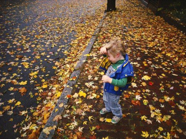 Gió thu, lá thu ở “thành phố rừng nhiệt đới”, Portland ở Maine. Ở Portland có khoảng 20.000 nghìn cây phong, sồi cùng các loại cây khác. Ảnh: National Geographic.