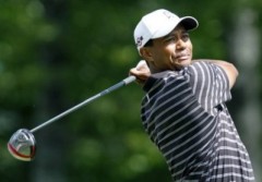 Tiger Woods nhận suất đặc cách dự Ryder Cup