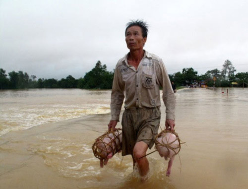 Chùm ảnh: Đau thương trải khắp vùng lũ, Tin tức trong ngày, lũ miền Trung, lũ lụt, bão lũ, lũ lịch sử, quần đảo Hoàng Sa, bão Megi, thiệt hại