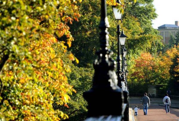 Mùa thu ở Jesmond Dene, Newcastle Mùa thu ở Jesmond Dene, Newcastle