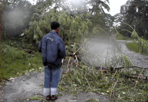 Hình ảnh Philippines điêu tàn bởi siêu bão