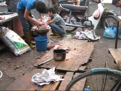 Kinh hoàng chợ "nguyên liệu" hàng cơm, bún chả