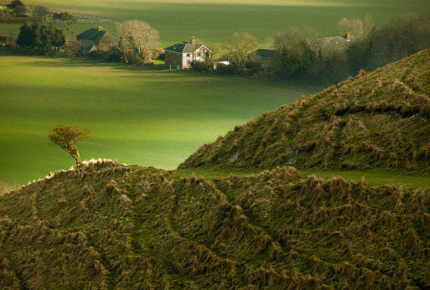 Bức ảnh về vùng ngoại ô South Downs gần Kingston, East Sussex (Anh) của nhiếp ảnh gia Slawek Staszczuk đoạt giải cao nhất trong thể loại Thiên nhiên nước Anh.