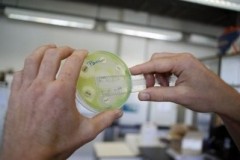 Phát hiện siêu vi khuẩn kháng thuốc tại Đài Loan