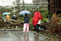 Cây cối đổ nát sau bão tại Philippines. Ảnh: AFP.