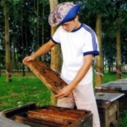 Việt Nam là một trong 10 nước xuất khẩu mật ong lớn nhất thế giới