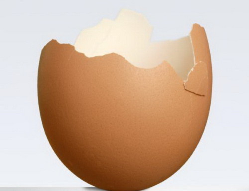 Vỏ trứng giúp chống biến đổi khí hậu!
