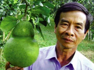 1 Ông Võ Trung Thành, 54 tuổi, nhà vườn ở Phú Hữu Thành (Châu Thành, Hậu Giang) cho biết thông tin trên.