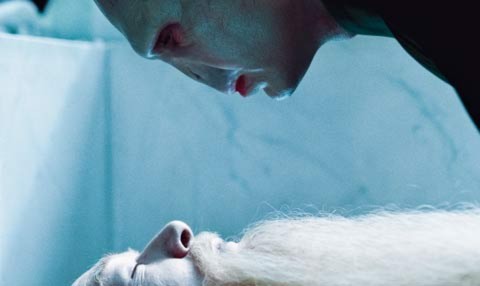 images2064814_Harry_Potter
