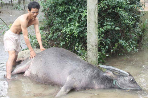 Cầu gãy, hàng trăm hộ dân bị cô lập