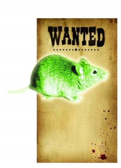 “Chuột khổng lồ ăn thịt” xuất hiện từ sự cố hạt nhân