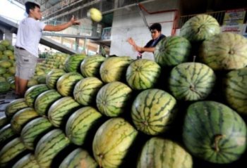 WaterMelon