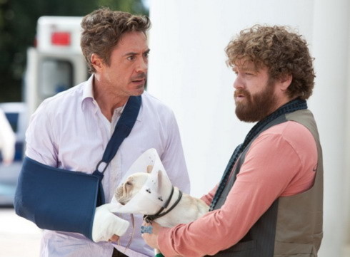 Robert Downey Jr và Zach Galifianakis trong "Due Date". Ảnh: Warner Bros.