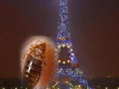 Rệp tấn công Paris