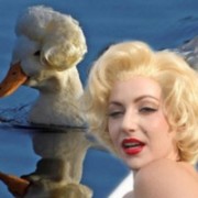 Vịt đỏm dáng với kiểu đầu Marilyn Monroe