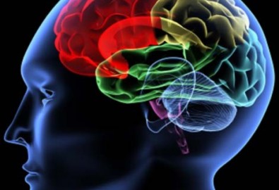 Bạn đã hiểu rõ trí não của mình chưa?