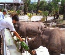 Kỷ lục Việt Nam: Vườn thú mở đầu tiên