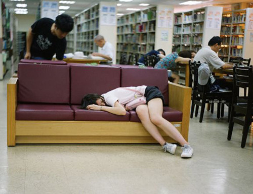 Những kiểu ngủ hài hước trong thư viện