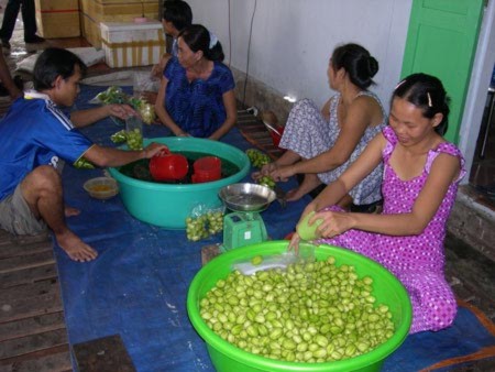 Từ người làm mướn trở thành tỷ phú, Tin tức Việt Nam, Tin tức trong ngày, ty phu, dua xoai, dac san Nam bo, xoai, mien Tay, tin tuc 24h