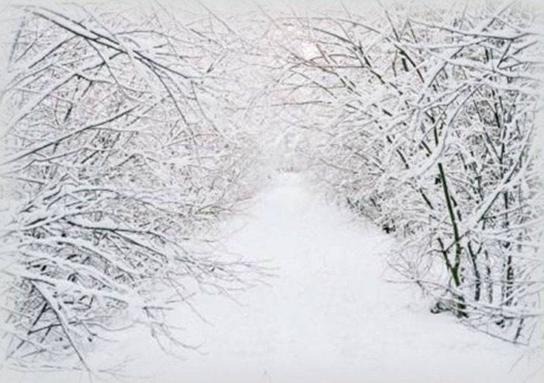 Loài người đang trải qua một trong những mùa đông rét mướt nhất trong lịch sử?