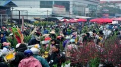 Các chợ hoa Tết Hà Nội nhộn nhịp vào xuân