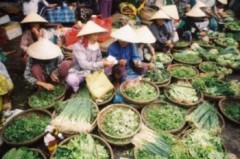 Miền Bắc và miền Trung Việt Nam – Vùng đất của sự chuyển mình và chuyển đổi