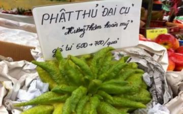 Những chiêu PR ngày Tết