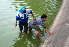 Thiếu niên lội Hồ Gươm buốt giá mò điện thoại thuê