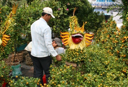 TPHCM tổ chức 40 chợ hoa Tết