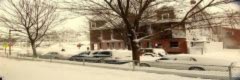 Tuyết trắng tại New England