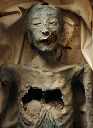 Kiya cũng là một trong số người vợ của Akhenaten.