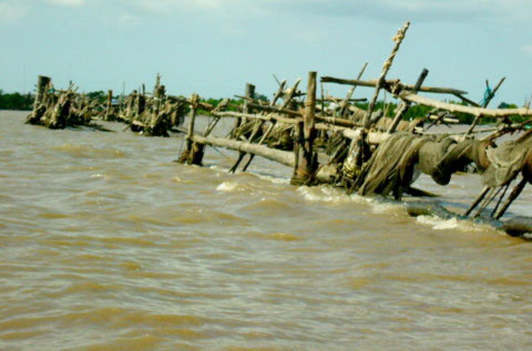 Hàng đáy trên sông Cái Lớn ở huyện Năm Căn (Cà Mau) là nơi gây ra tai nạn cho gia đình ông Hón. Ảnh: Thiên Phước.