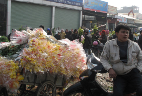 Chợ hoa Quảng thường họp từ 2-3h sáng cho tới 8-9h. Nhưng những ngày Tết, chợ nhộn nhịp cả ngày lẫn đêm.
