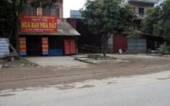 ‘Cò mồi’ khuấy động đất Đông Anh